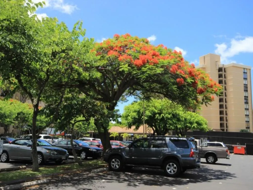 Valley Isle #1209 Condo Kahana